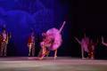 Вечер балета открыл Год театра в Вологде