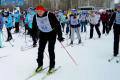 Порядка 5 тысяч вологжан стали участниками «Лыжни России»