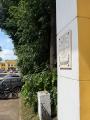 Освобождение Освенцима: подвиг вологжан и память поколений