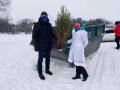 Порядка 400 новогодних елей сдали в переработку жители Вологды
