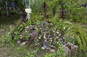 _DSC0763.JPG