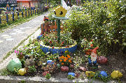 _DSC0738.JPG